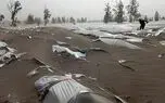 خسارت چند هزار میلیاردی به کشاورزان جنوب کرمان / اشک کشاورزان زیر کیسه های مدفون شده در طوفان شن + فیلم