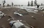 خسارت چند هزار میلیاردی به کشاورزان جنوب کرمان / اشک کشاورزان زیر کیسه های مدفون شده در طوفان شن + فیلم
