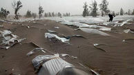 خسارت چند هزار میلیاردی به کشاورزان جنوب کرمان / اشک کشاورزان زیر کیسه های مدفون شده در طوفان شن + فیلم