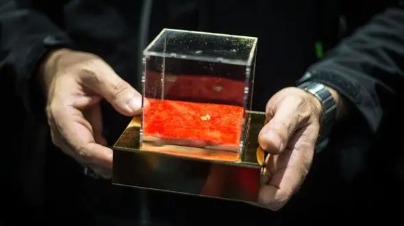 رونمایی از دندان ایرانی باستانی + عکس