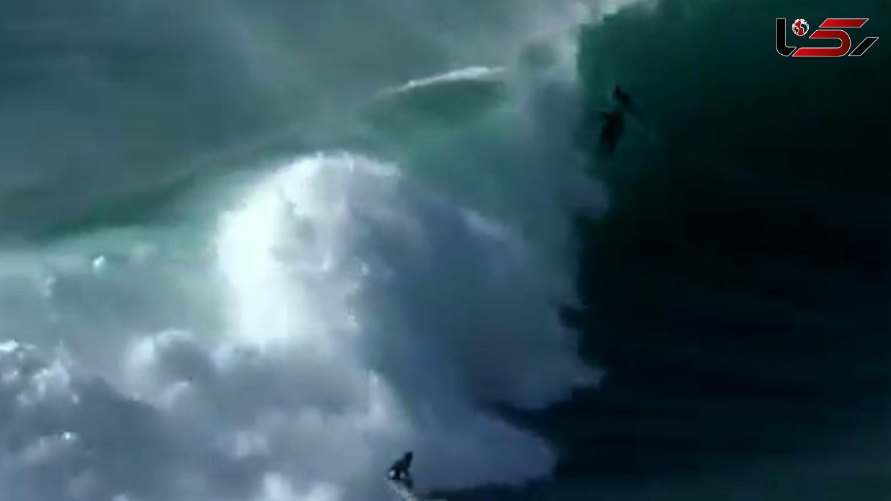 فیلم وحشت آور شنای کوسه کنار یک موج سوار + عکس