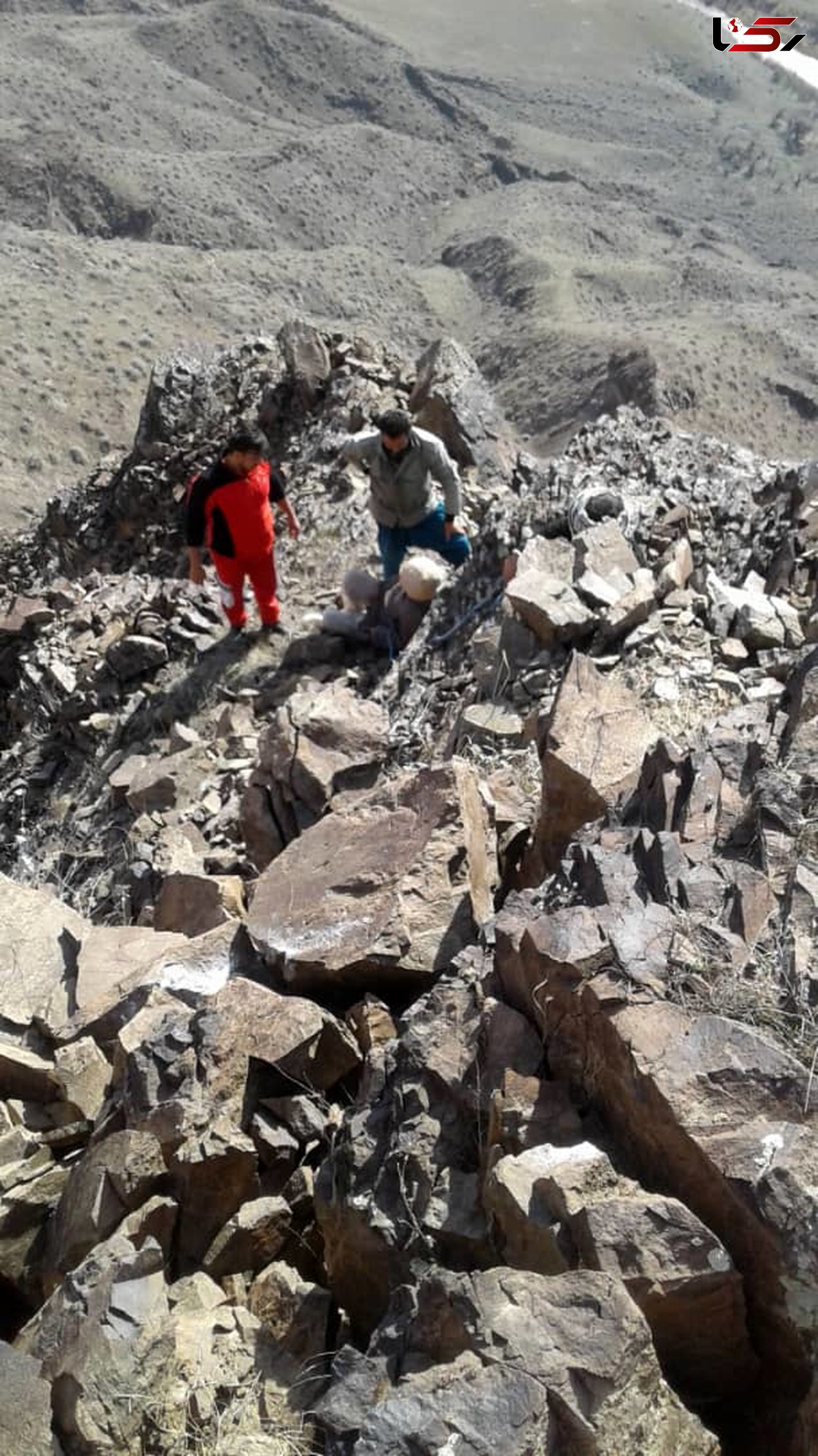 نجات دامدار ۷۰ ساله ازصخره های صعب العبور ارتفاعات شهرستان رودبار