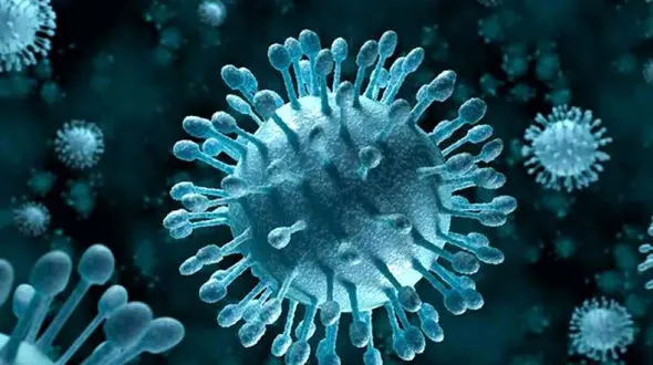 کرونا قم را به تعطیلی کشاند / اعلام محدودیت‌های یک هفته ای در قم  + جزئیات 