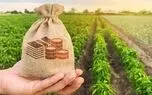 دولت باید تا شهریور 1401 الگوی کشت سراسری تدوین کند /توافق ایران با روسیه و افغانستان برای انجام کشت فراسرزمینی