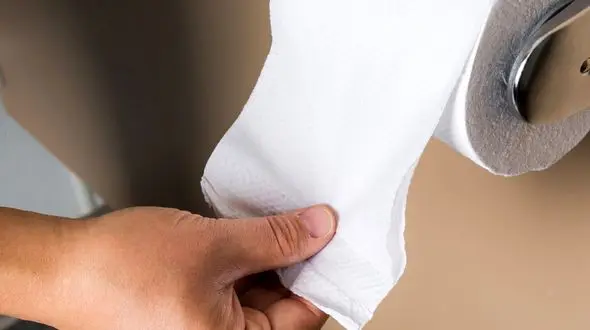 واقعیت های مهم در مورد بهداشت توالت فرنگی