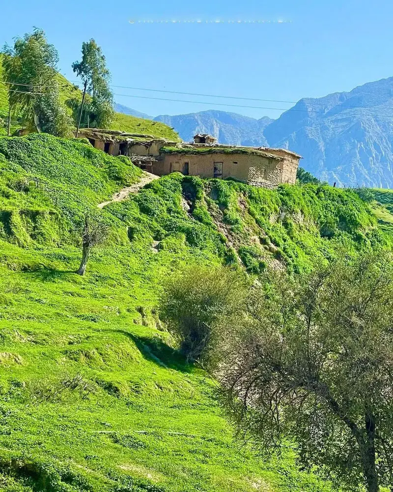 دشت سوسن