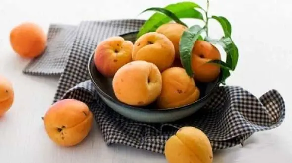 حفظ سلامت کبد با این میوه کم کالری