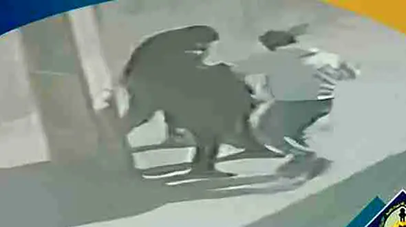 دستور ویژه پلیس برای شناسایی عوامل زورگیری در شهریار