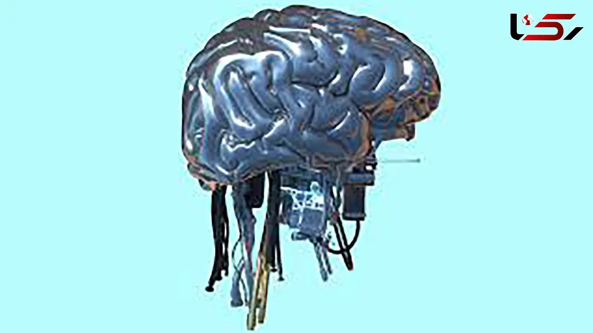 نفوذ انسان ها به شبکه اجتماعی ربات های هوش مصنوعی