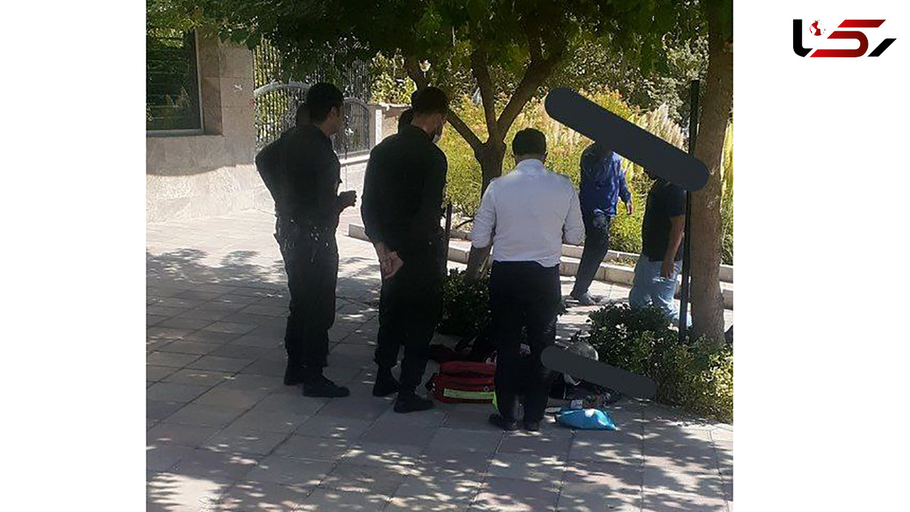 جزئیات سرقت مسلحانه مرد تهرانی در خیابان میرداماد / 4 مرد مسلح گریختند !