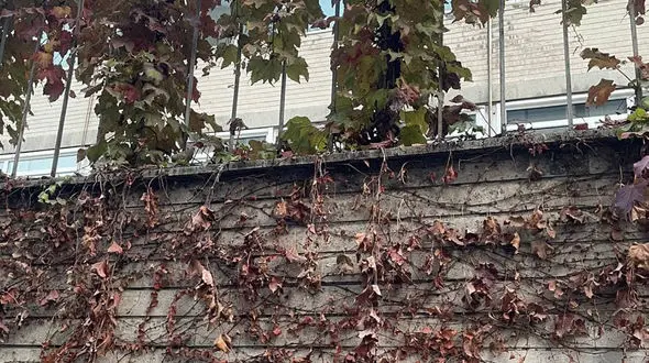 فال ابجد امروز / 27 آبان ماه + فیلم 