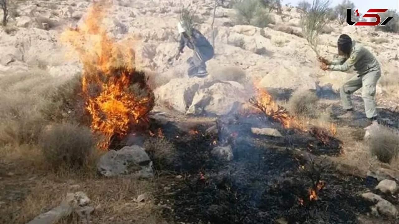 سوختن فعالان محیط زیستی در آتش زاگرس / هلی کوپتری که فرستادند، نرسیده خراب شد + فیلم