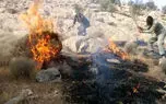 سوختن فعالان محیط زیستی در آتش زاگرس / هلی کوپتری که فرستادند، نرسیده خراب شد + فیلم