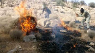 فیلم فرار گله گرازها  از آتش سوزی جنگل در کهگیلویه و بویر احمد / حیوانات وحشت زده اند