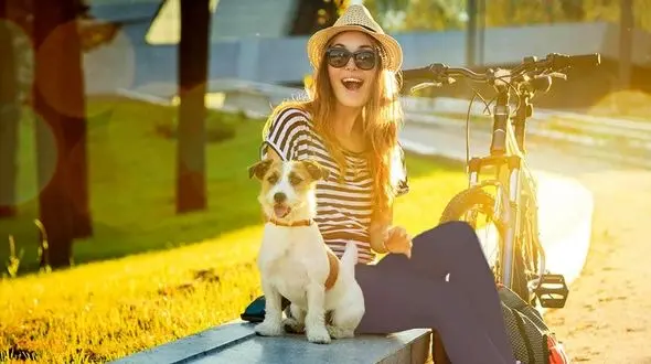 خوراکی های  تابستانه برای سگ های خانگی 