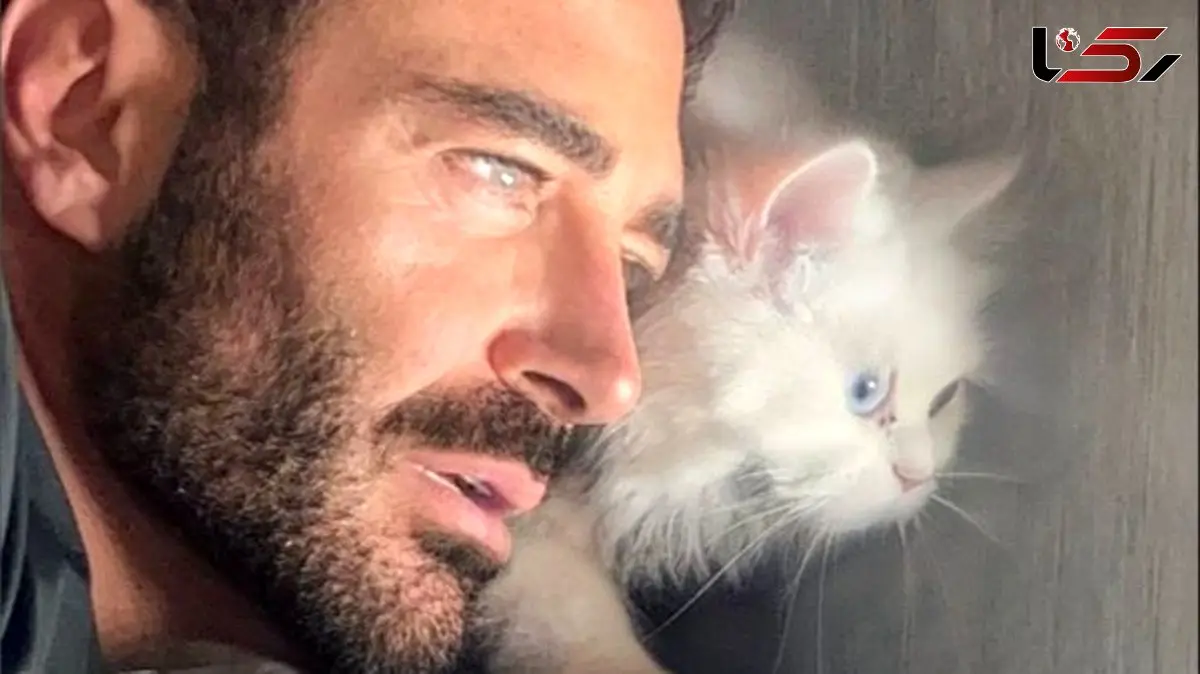 (عکس) شباهت عجیب رنگ چشم محمدرضا گلزار و گربه اش / لاکچری بازی آقای سوپراستار کم بود ست کردن رنگ چشم هم اضافه شد!