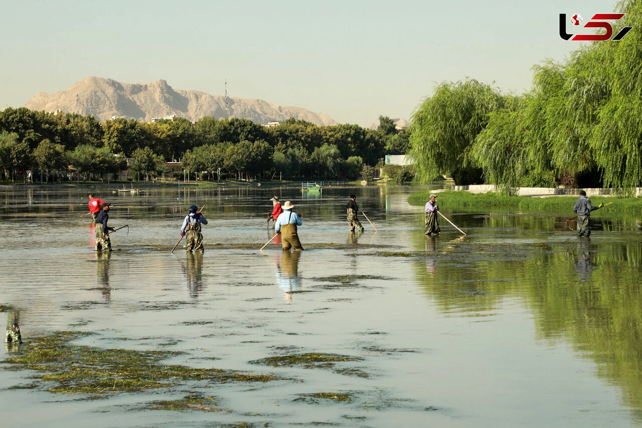 نجات ماهیان گرفتار در رودخانه زاینده‌رود