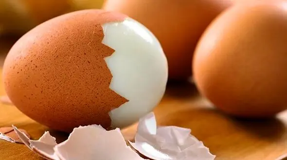 تخم های مرغ  فاسد به سالمونلا آلوده است