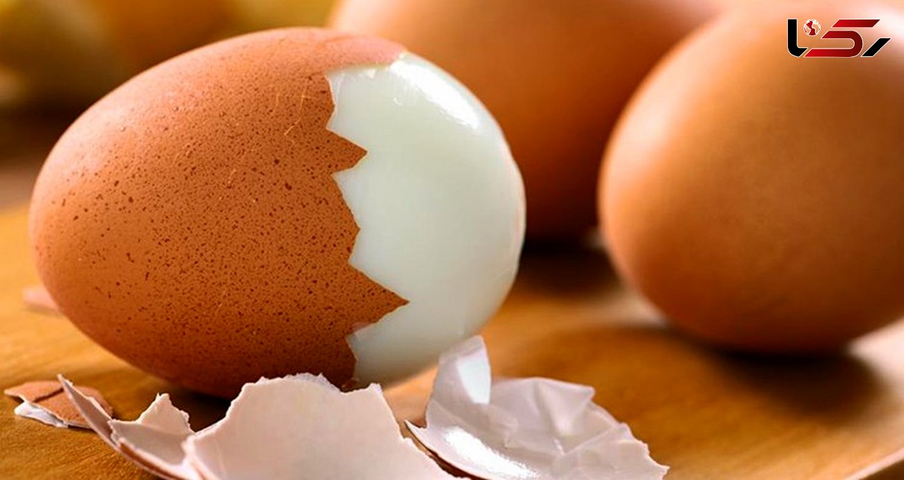 تخم های مرغ  فاسد به سالمونلا آلوده است