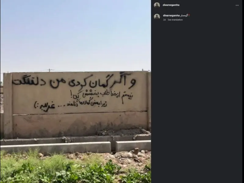 دیوار نگار