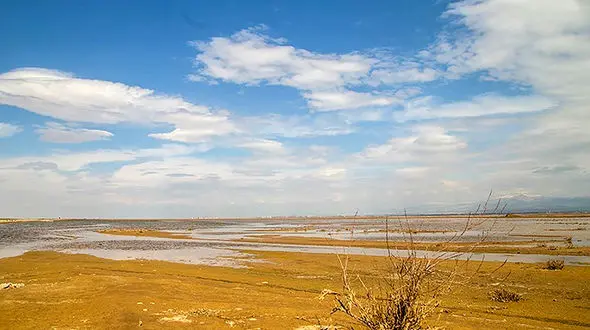 تالاب صالحیه منشا گرد و غبار در تهران است