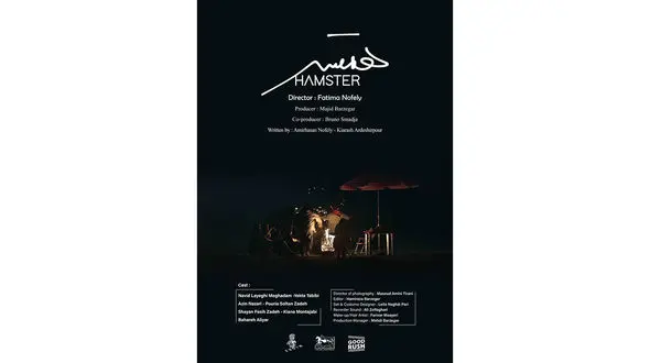 «همستر» به آمریکا می‌رود