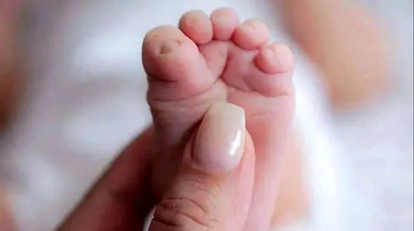 آغاز ثبت‌نام سهام ویژه نوزادان /  هدیه‌ای از دولت + لینک اصلی