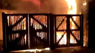 آتش سوزی در باغ وحش چستر بریتانیا
