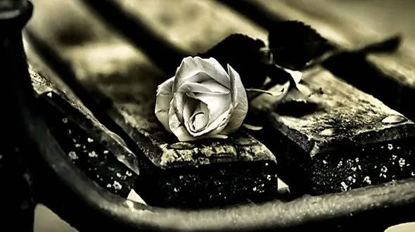 زن خائن با مرد همسایه رو هم ریخت / سعید با زنش مشکل داشت 