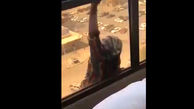 فیلمبرداری زن بی رحم از افتادن یک زن از طبقه هفتم +فیلم لحظه سقوط