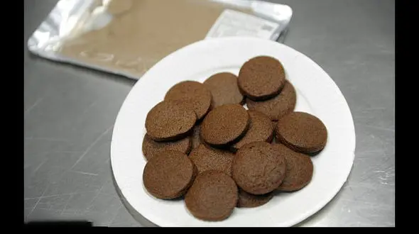 جدیدترین اختراع دانشمندان؛ بیسکوئیت با طعم حشره + عکس