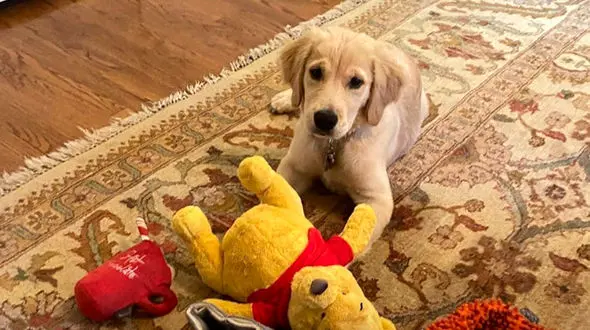 تصویری که چینی‌ها را عصبانی کرد+عکس