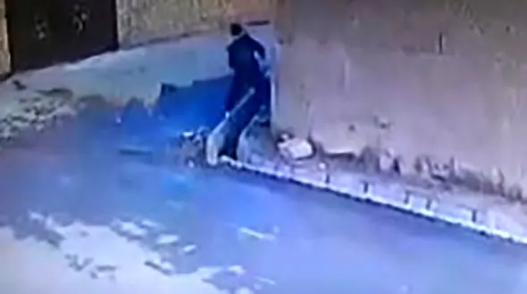 حمله سگ ولگرد به کودک مرندی/ پای کودک آسیب دید+ فیلم 