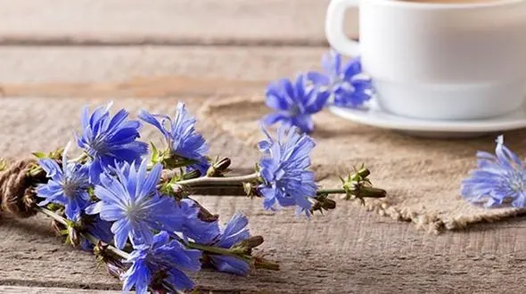 درمان بیماری های کبدی با یک نوشیدنی خوشمزه