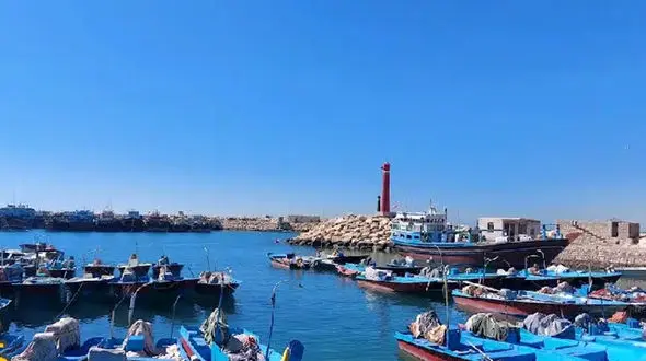 اسکله کنگان؛ قلب تپنده حمل‌ و نقل دریایی بوشهر+ فیلم