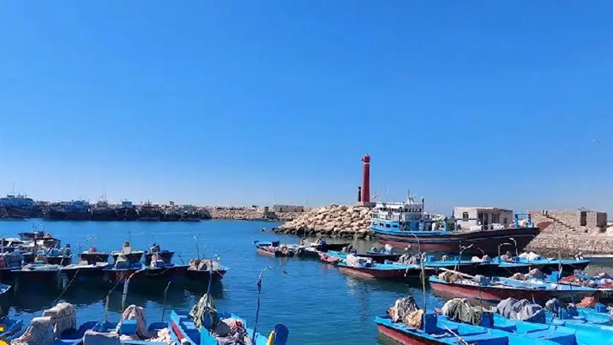 اسکله کنگان؛ قلب تپنده حمل‌ و نقل دریایی بوشهر