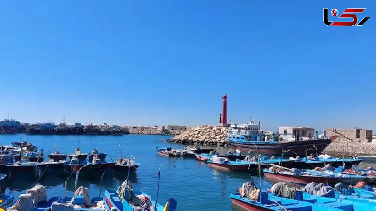 اسکله کنگان؛ قلب تپنده حمل‌ و نقل دریایی بوشهر+ فیلم