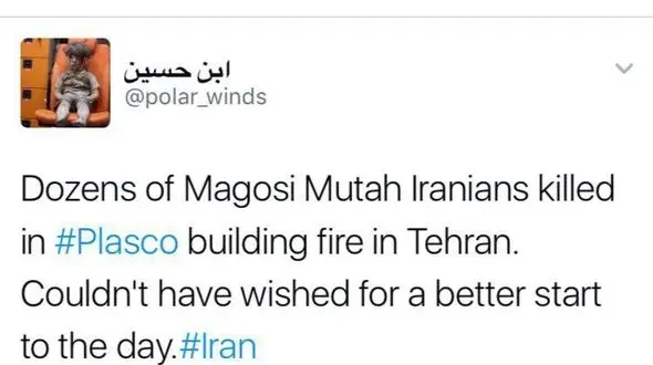 ابراز شادمانی یک سگ داعشی در خصوص فاجعه پلاسکو + عکس 