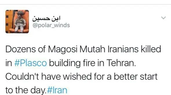 ابراز شادمانی یک سگ داعشی در خصوص فاجعه پلاسکو + عکس 