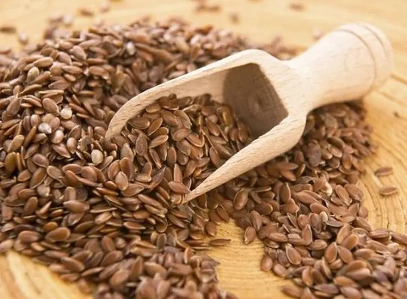 بذرکتان