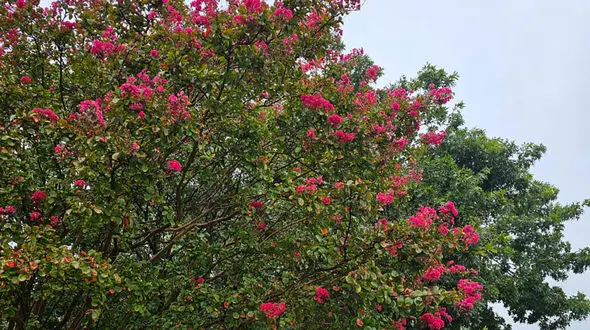 فال ابجد امروز 27 شهریور + فیلم