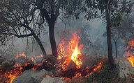 فاجعه / جنگل‌های زاگرس 6 روز در آتش + فیلم ناراحت کننده
