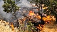 دستگیری یکی از عوامل آتش‌سوزی جنگل‌های خرم‌آباد