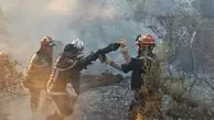 آتش‌سوزی در منطقه حفاظت‌شده دیزمار