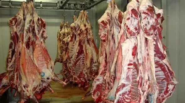 گوشت گوسفند ارزان شد /مردم می پرسند : کی و کجا ؟