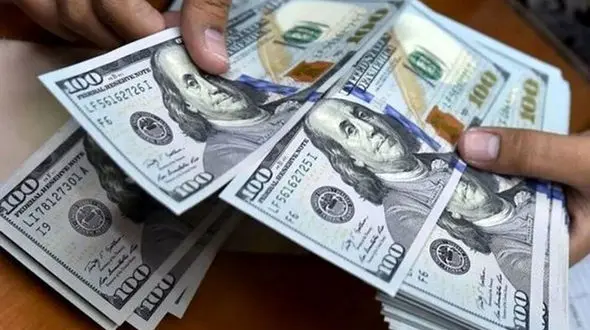 بازداشت مسافر پرواز ترکیه با چمدانی پر از دلار امریکا در مشهد