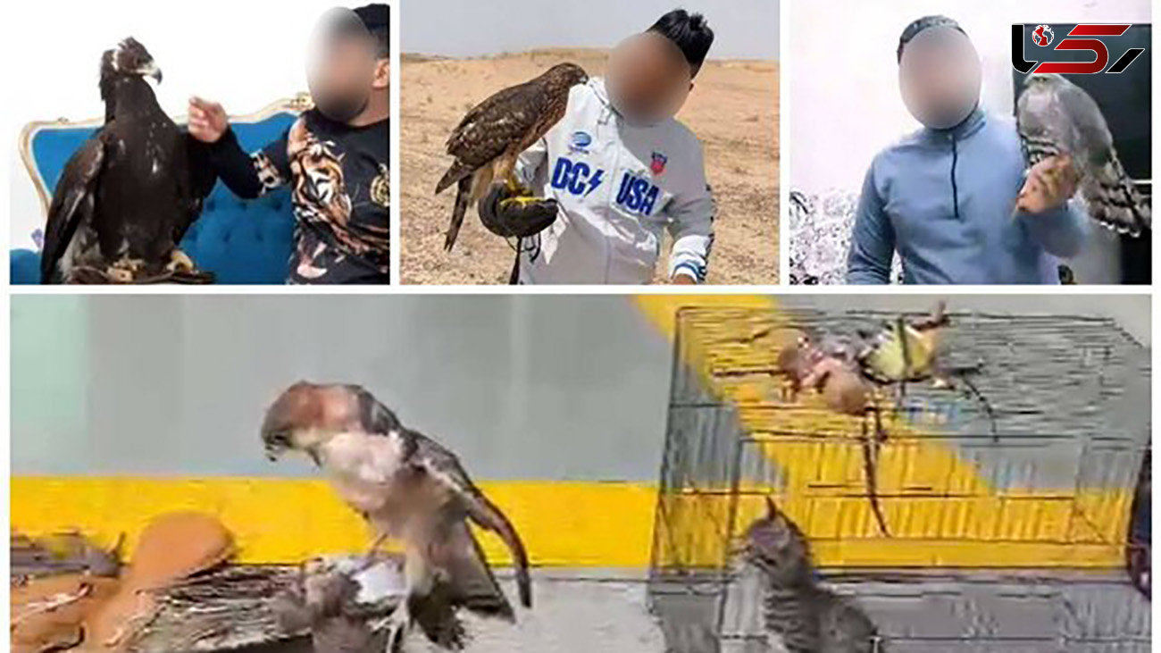 دکتر عقاب در تهران دستگیر شد + عکس و جزییات