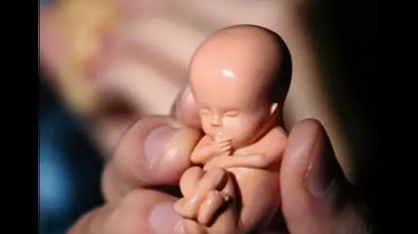  فاجعه سقط جنین در ایران  / سالانه 300 هزار سقط جنین غیرقانونی در کشور انجام می شود