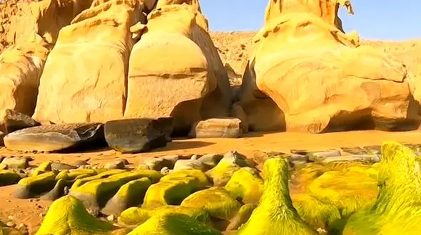 ساحل مقام از زیبایی های هرمزگان + فیلم