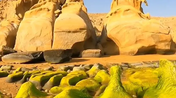 ساحل مقام از زیبایی های هرمزگان + فیلم